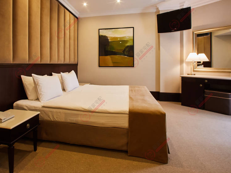 酒店套房案例 酒店套房案例